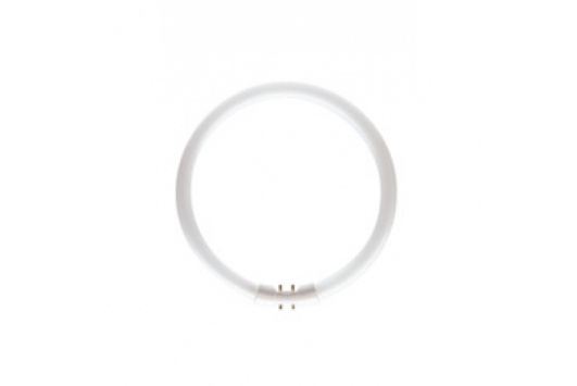 Tub Fluorescent TL5 Circular 55W/840
